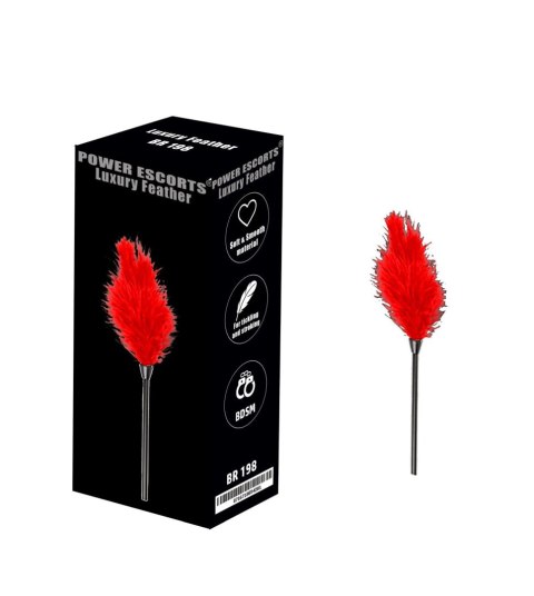 Power Escorts Luxury feather red