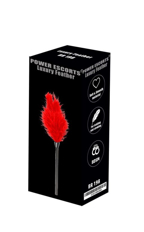 Power Escorts Luxury feather red