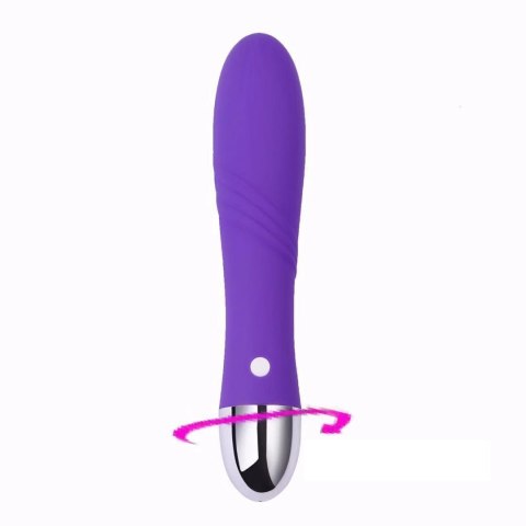 Power Escorts Wibrator - Gigolo USB purple