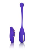 CalExotics Estim Remote Kegel Exerciser Blue