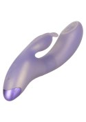 CalExotics G-Love G-Bunny Purple