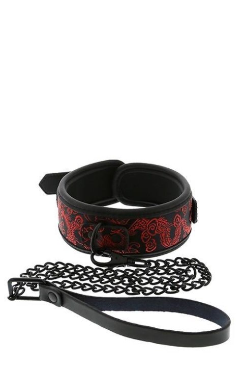 Dream Toys BLAZE DELUXE COLLAR & LEASH