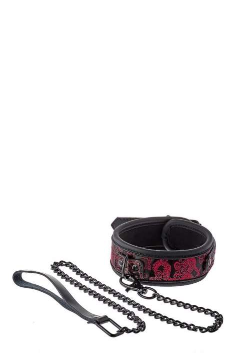 Dream Toys BLAZE DELUXE COLLAR & LEASH