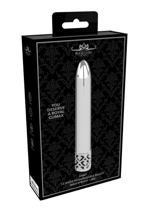 Royal Gems Shiny - Rechargeable ABS Bullet - Silver