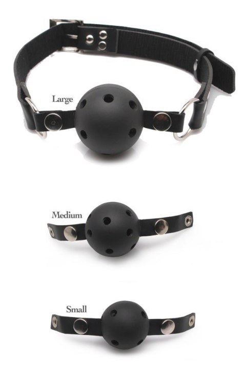 Fetish Fantasy Series FFS Ball Gag Training System