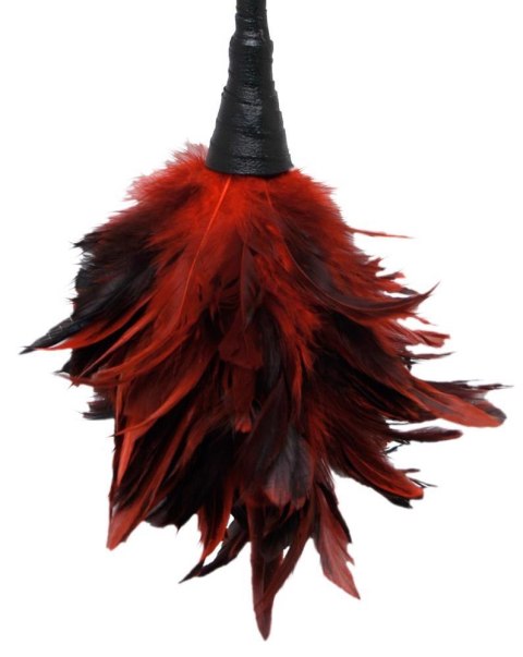 Fetish Fantasy Series FFS Frisky Feather Duster