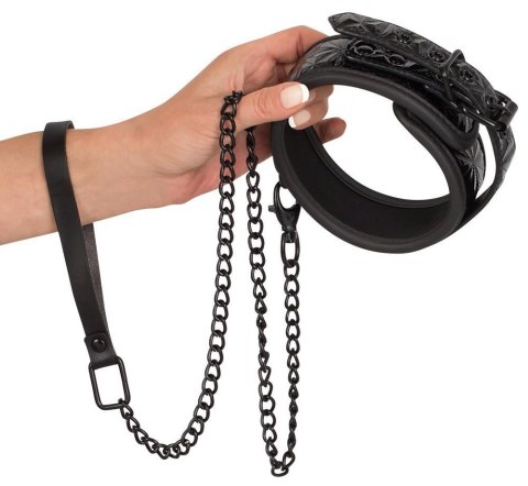 Bad Kitty Collar with Leash