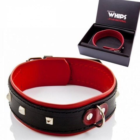 Whips Collections Wiązania-WHIPS obroża damska z ćwiekami