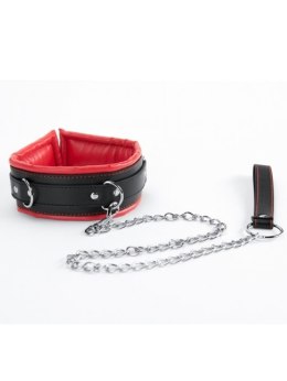 ARGUS Red Collar And Leash