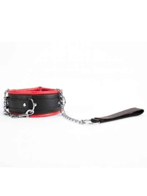 ARGUS Red Collar And Leash