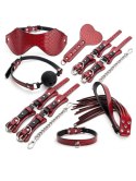 ARGUS Suitcase bondage set red