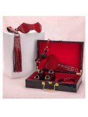 ARGUS Suitcase bondage set red