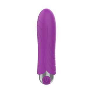 Mini wibrator Bullet USB 10 functions Purple