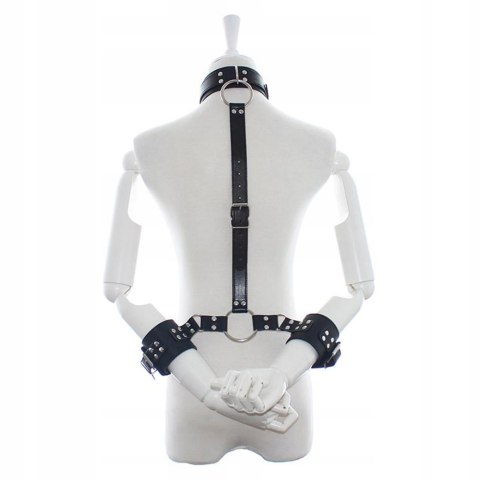 Regulowana uprząż Collar With Restraints