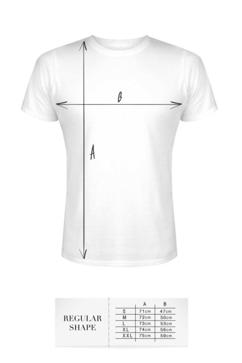 T-shirt men white L regular