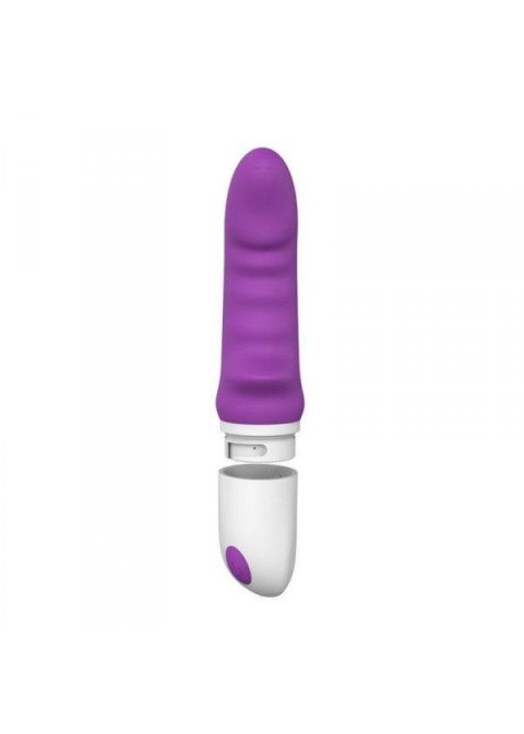 Wibrator-VIBRATORE DESIGN ELYS - RHINHORN VIBE PURPLE