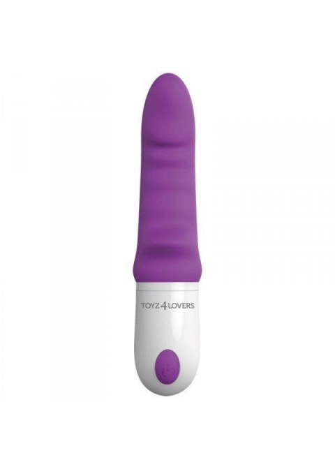 Wibrator-VIBRATORE DESIGN ELYS - RHINHORN VIBE PURPLE