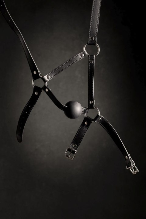 Head Harness with Solid Ball Gag - Black