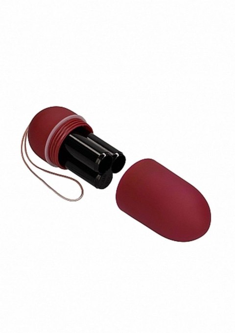 10 Speed Remote Vibrating Egg - Big - Red