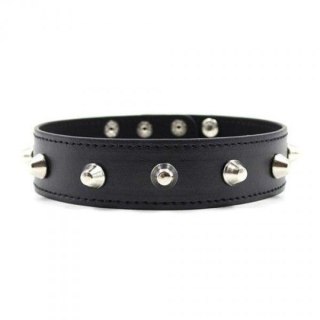 Wiązania-Collare Spikes Collar black