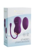 JAJKO ETHEREA PURPLE 37-0043