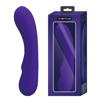 WIBRATOR - PRESCOTT Purple 12 vibration functions Memory function