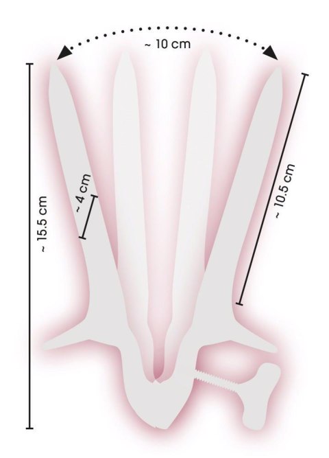 Vaginal Speculum