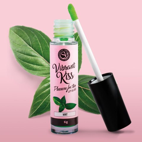 LIP GLOSS VIBRANT KISS MINT