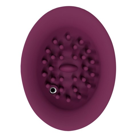 Twitch 3 - Rechargeable Vibrator & Suction - Silicone - 10 Speed - Burgundy