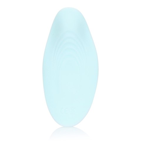 Panty Vibrator with Remote Control