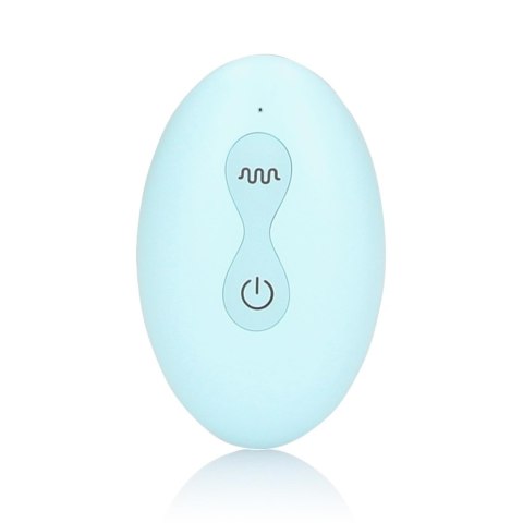 Panty Vibrator with Remote Control