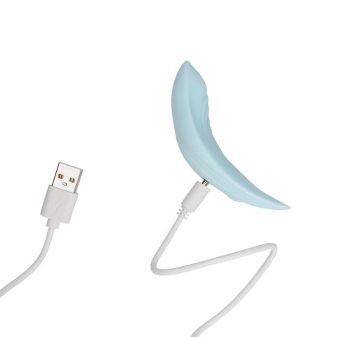 Panty Vibrator with Remote Control