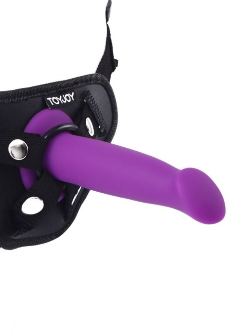 Goodhead Dong 6 Inch Purple