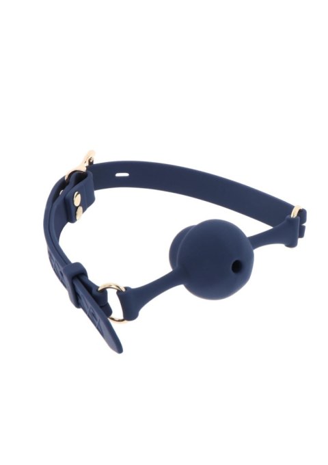 Silicone Mouth Gag Blue