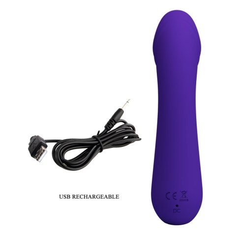 PRETTY LOVE - Cetus dark Purple, Memory function 12 vibration functions