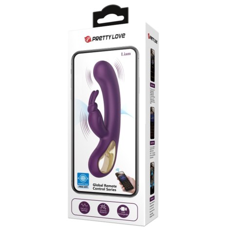 2 WIBRATOR - Liam purple, 22 vibration functions Mobile APP Long-distance Control