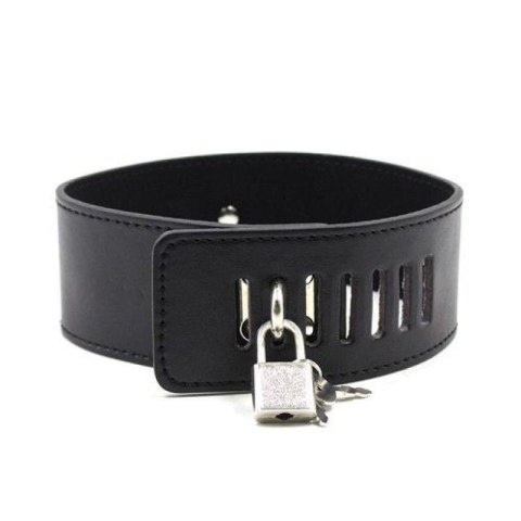 Collare con morsetti per capezzoli Leash nipple black