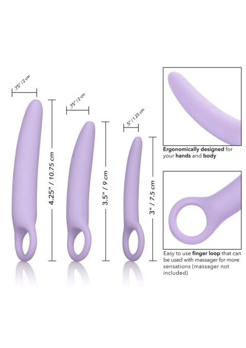 Alena Set of 3 Dilators Purple