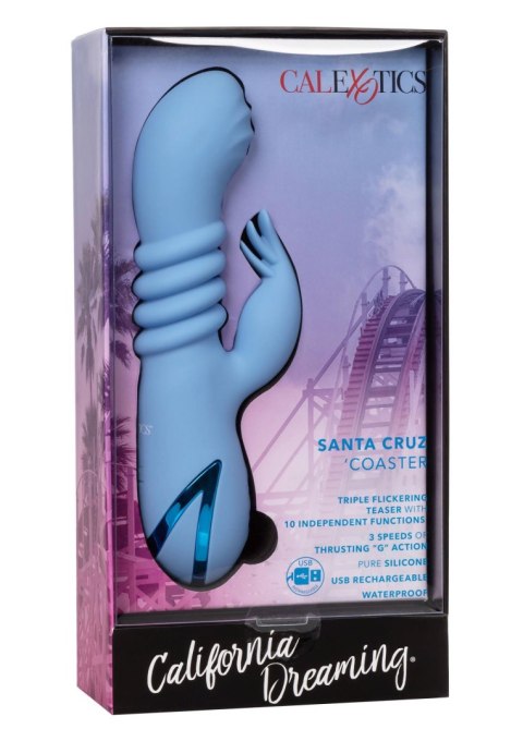 Santa Cruz Coaster Blue