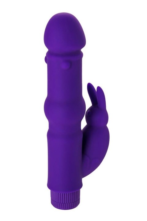 A-TOYS, Vibrator with clitoral stim, Silicone, Purple, 18 cm