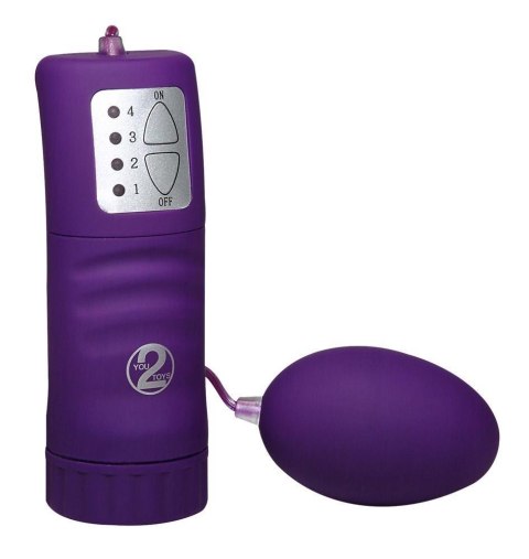 Vibro bullet purple