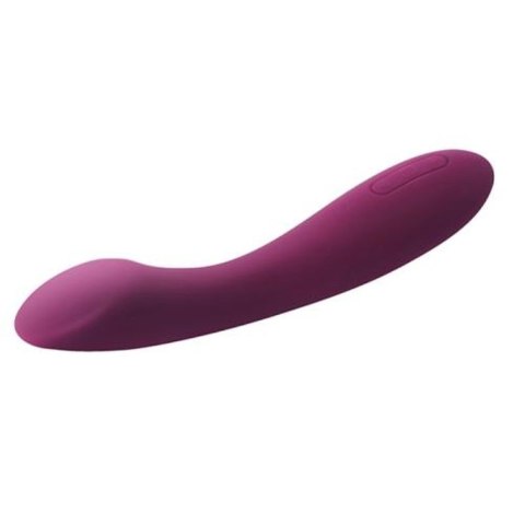 SVAKOM - AMY 2 G-Spot & Clitoral Vibrator - Violet