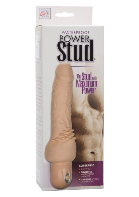 Power Stud Cliterrific Light skin tone