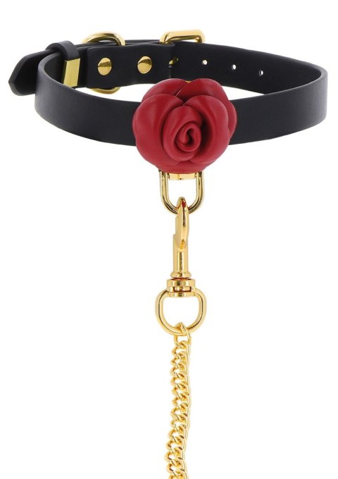 Wild Roses Collar & Leash Black