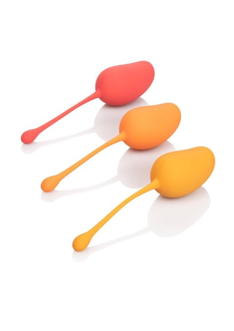 Kegel Training Set Mango Assortment