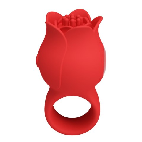 JAE, 10 vibration functions, Silicone ABS