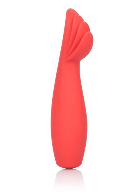 Red Hot Blaze Red Red Hot Blaze Red