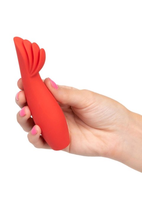 Red Hot Blaze Red Red Hot Blaze Red