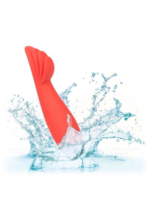 Red Hot Blaze Red Red Hot Blaze Red