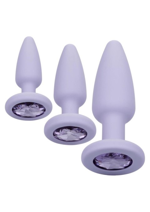 Crystal Booty Kit Purple Crystal Booty Kit Purple
